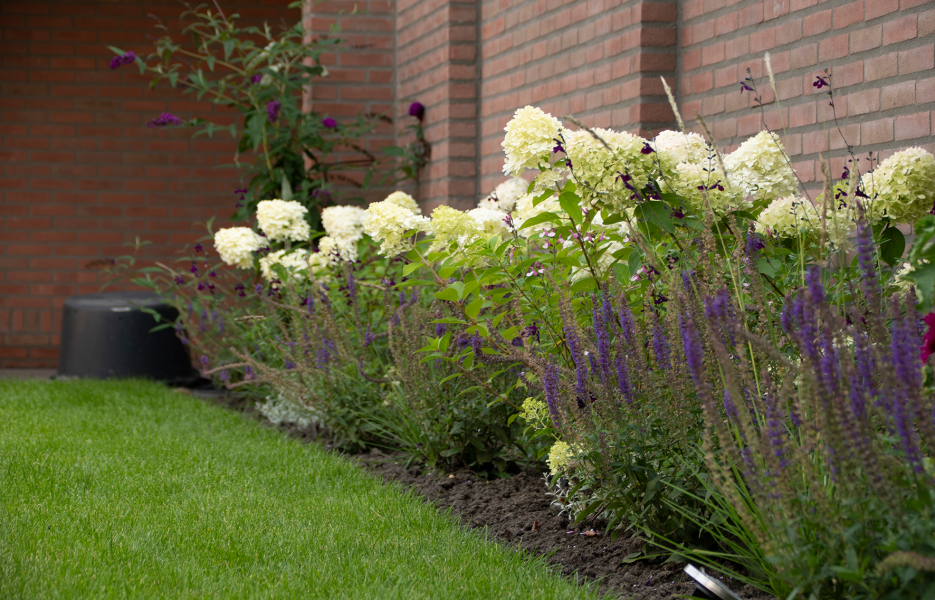 Projecten-Waalre1-005