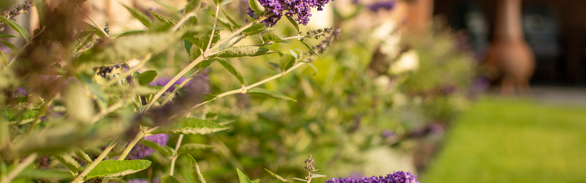 Projecten-Waalre1-006