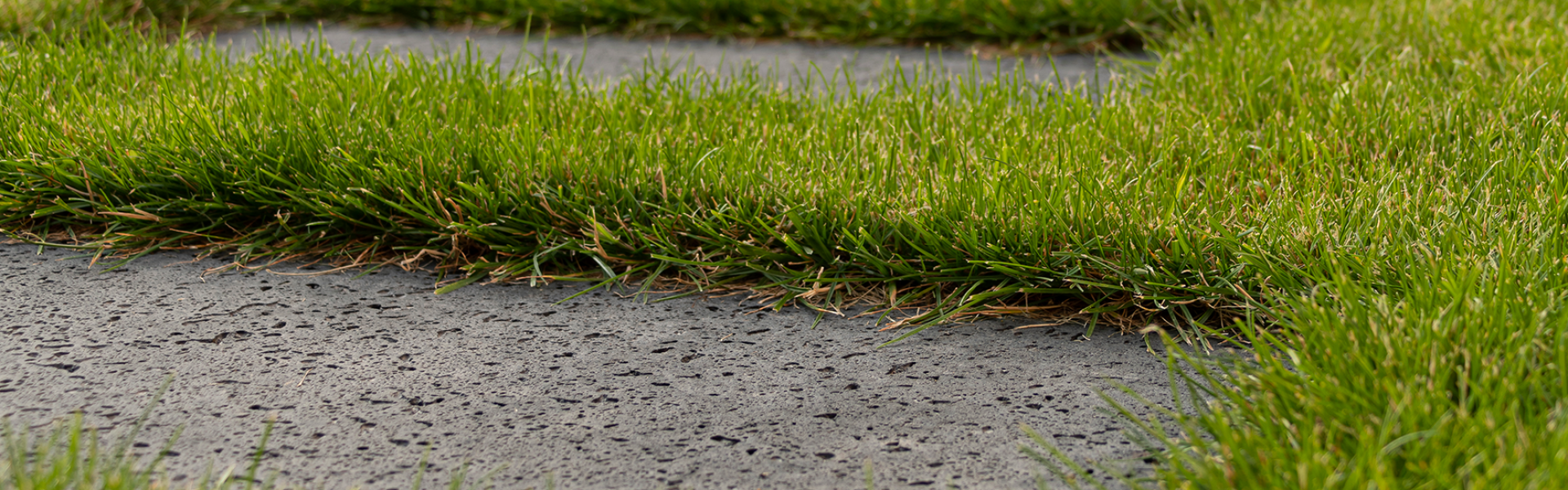 Projecten-Waalre1-010