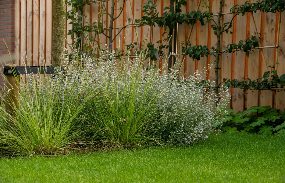 Projecten-Waalre2-008