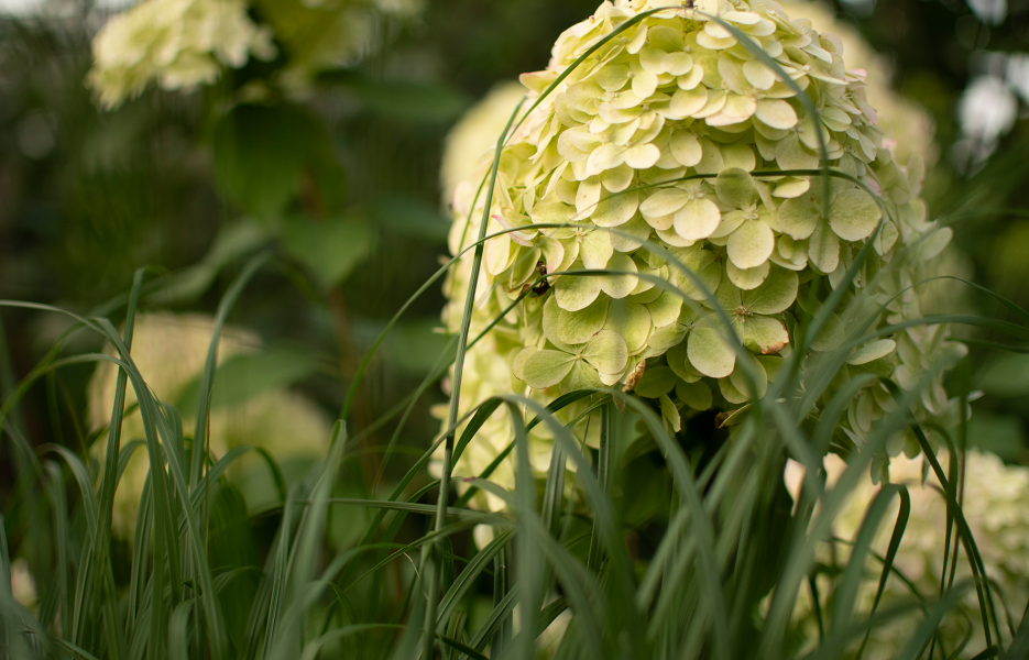 Projecten-Waalre3-001