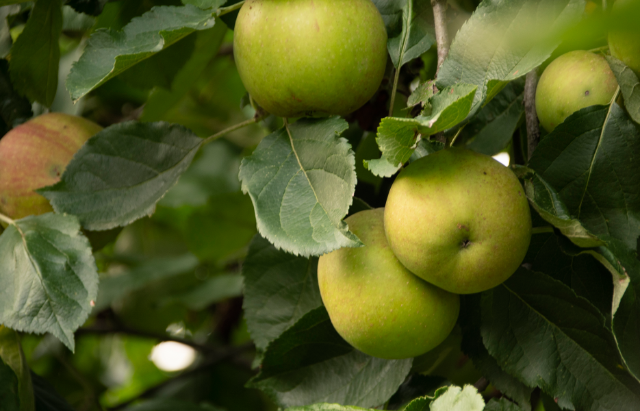 Projecten-Waalre3-002