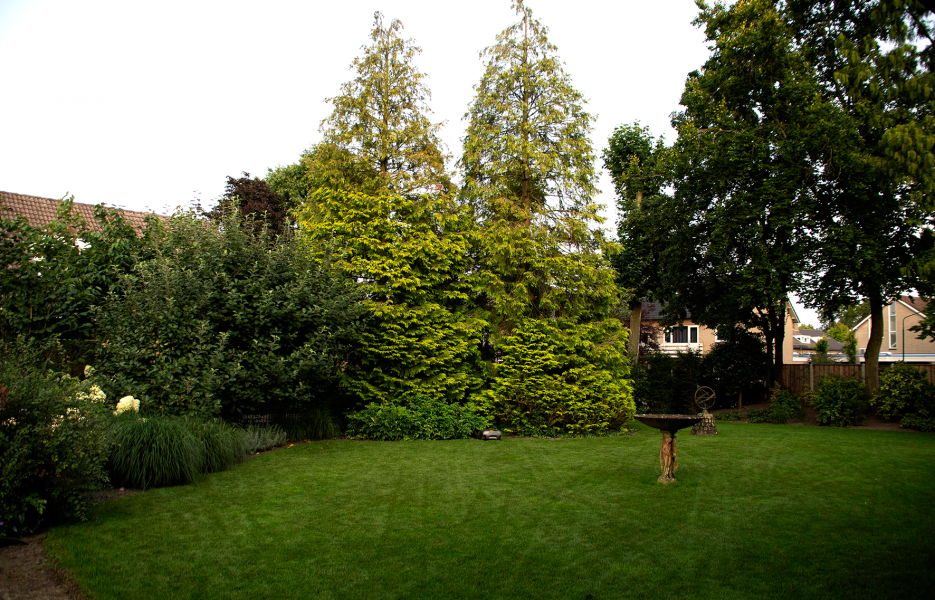 Projecten-Waalre3-007